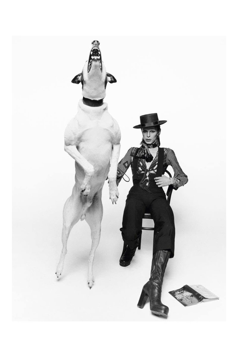 davidbowie_news's tweet photo. David Bowie, Diamond Dogs photo session, 1974, by Terry O’Neill. https://t.co/s3ZWuYYuSc
