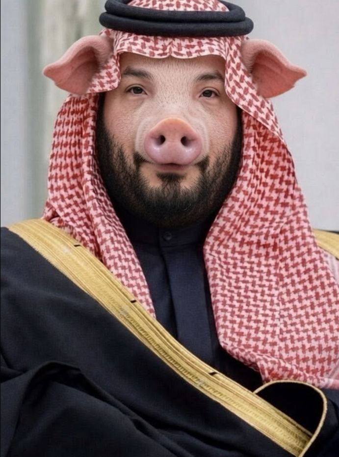 vau355i's tweet photo. السعودي المهان لا يعرف الا لغه القوه اضرب بالنعال راح يبوس نعالك https://t.co/v51FNd3fMy