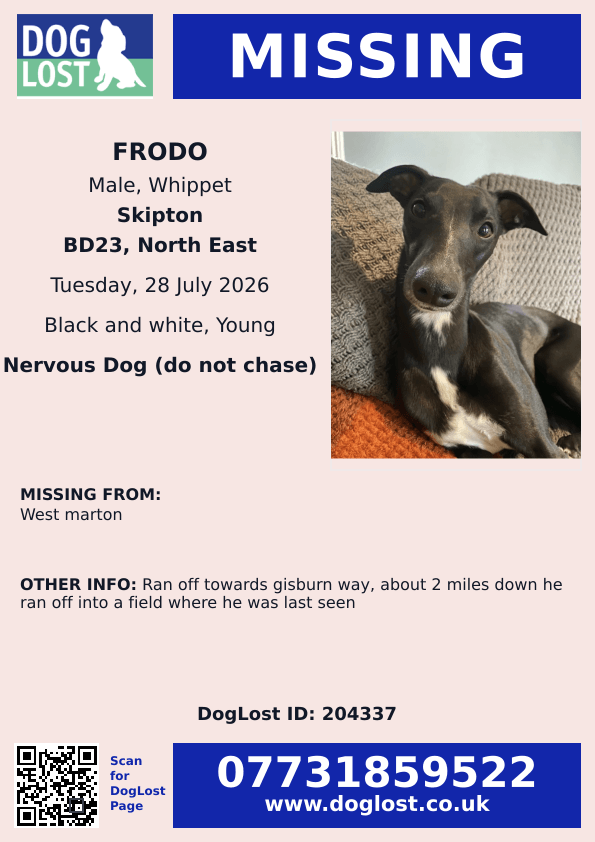 millypod1's tweet photo. 🆘28 JULY 2026 #Lost Frodo #ScanMe
YOUNG Whippet Male
West Marton #Skipton #NorthYorkshire #BD23
#Yorkshire
Ran off towards Gisburn Way, about 2 miles down he ran off into a field where he was last seen
https://t.co/M2JN1HWyWE https://t.co/wqxarod1ab