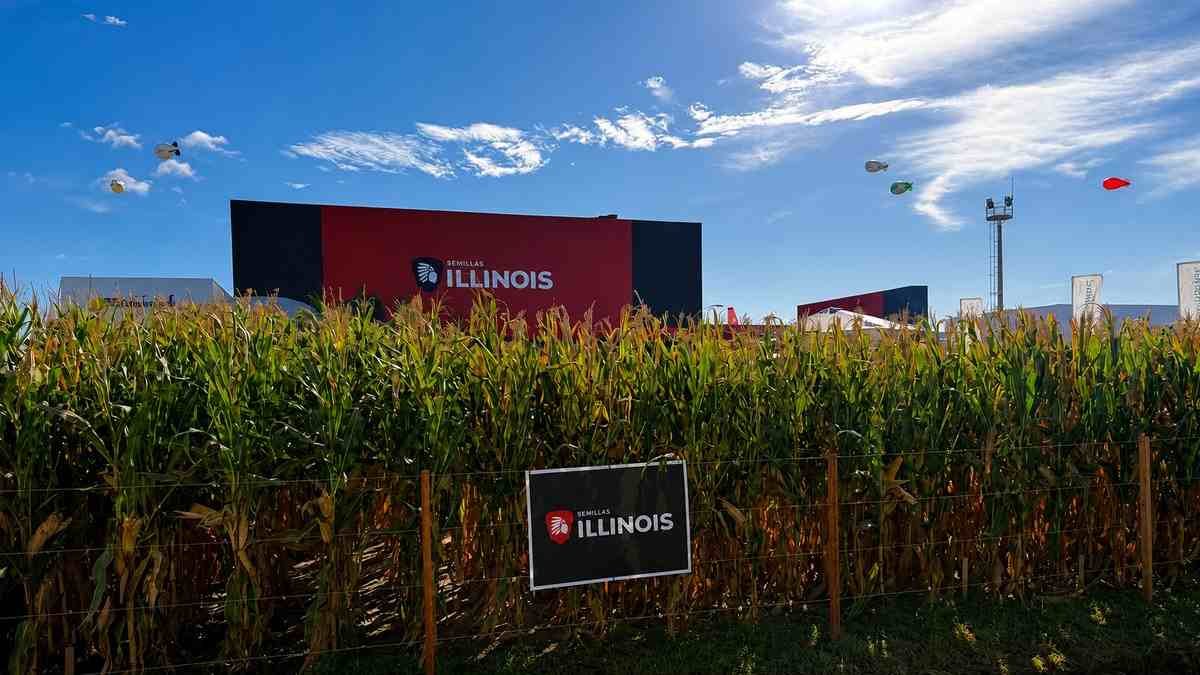 RuralNetOficial's tweet photo. #Empresas #Aapresid2026 #GDM #genéticademaíz #híbridosdemaíz Aapresid 2026: ILLINOIS presenta sus híbridos de maíz https://t.co/rmkvEC93Un https://t.co/3X2cxz7xrd