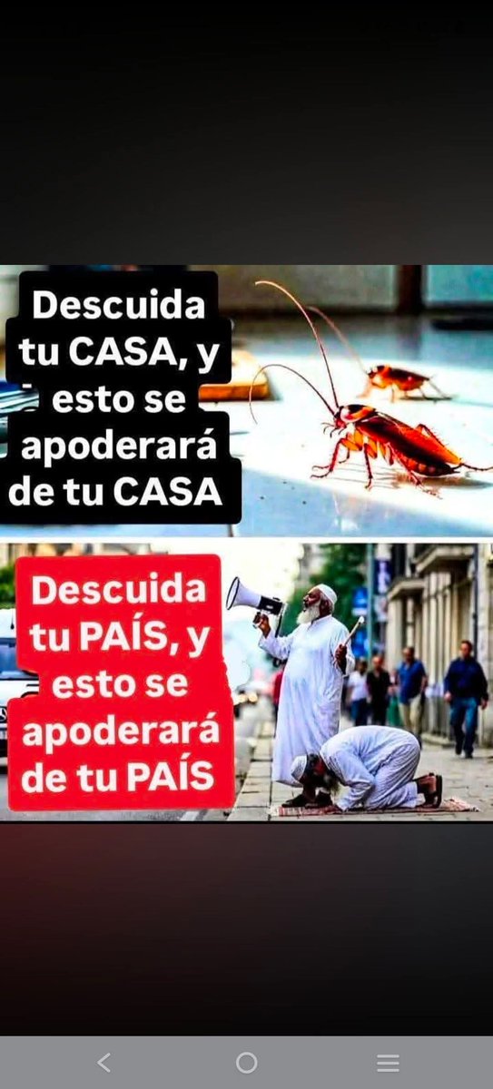 MariaDelPi59957's tweet photo. https://t.co/JZMV4bQnti