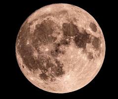 nziokamul1's tweet photo. Full moon tonight.
Dubbed Buck moon.
Muende home mapema leo, it's soul hunting season. https://t.co/25L2bNOdQl