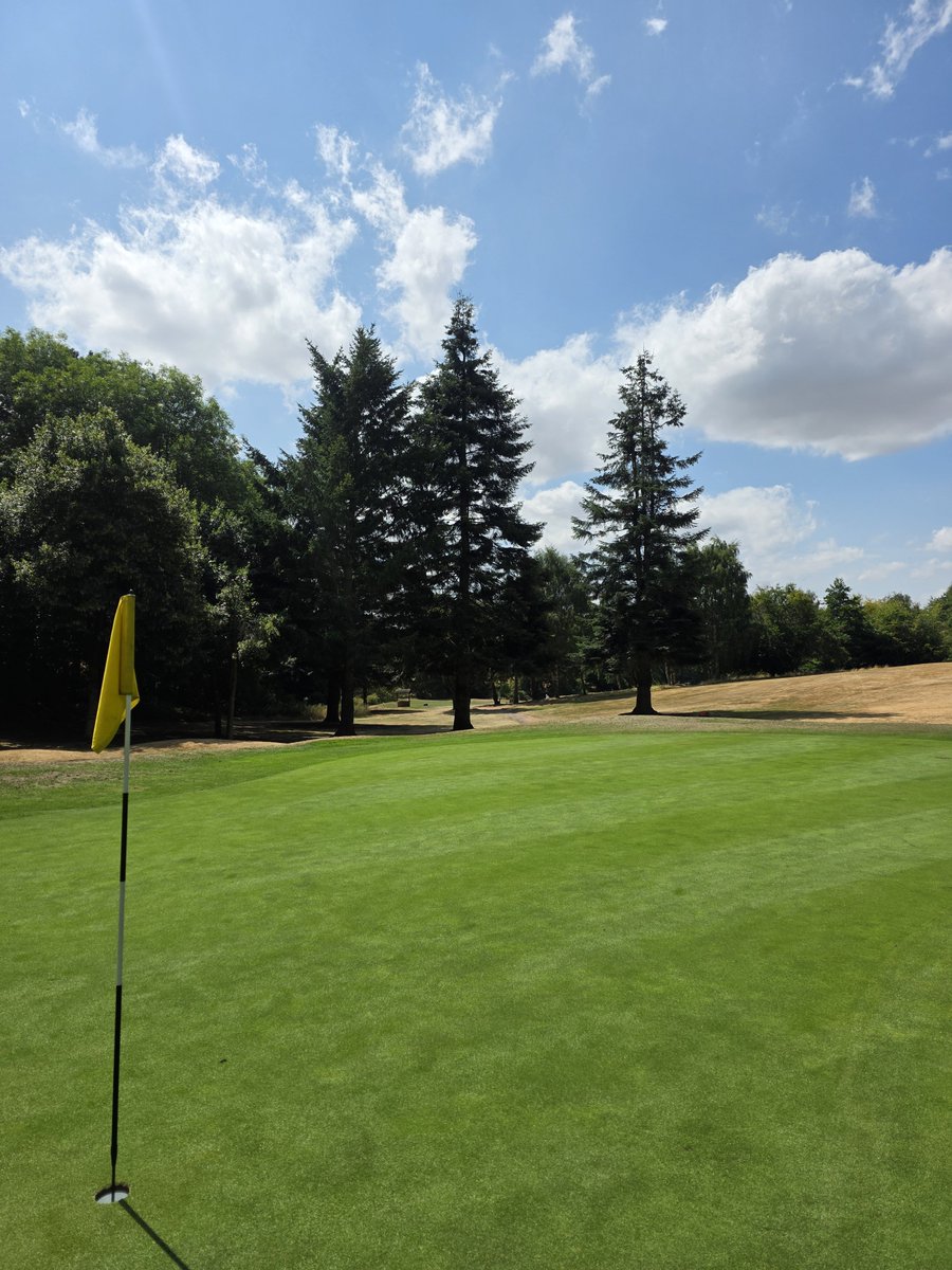 BromsgroveGK's tweet photo. The current weather conditions have allowed the greenkeeping team to get on with another course improvement project.
Tree thinning works have been carried out down by the 15th green and 16th tee to not only aid golfers but improve course visuals.
#greenkeeping #projectwork https://t.co/Q6mAd2Yypx