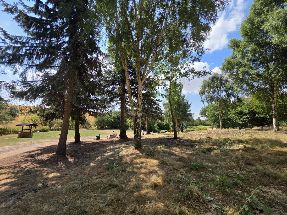 BromsgroveGK's tweet photo. The current weather conditions have allowed the greenkeeping team to get on with another course improvement project.
Tree thinning works have been carried out down by the 15th green and 16th tee to not only aid golfers but improve course visuals.
#greenkeeping #projectwork https://t.co/Q6mAd2Yypx