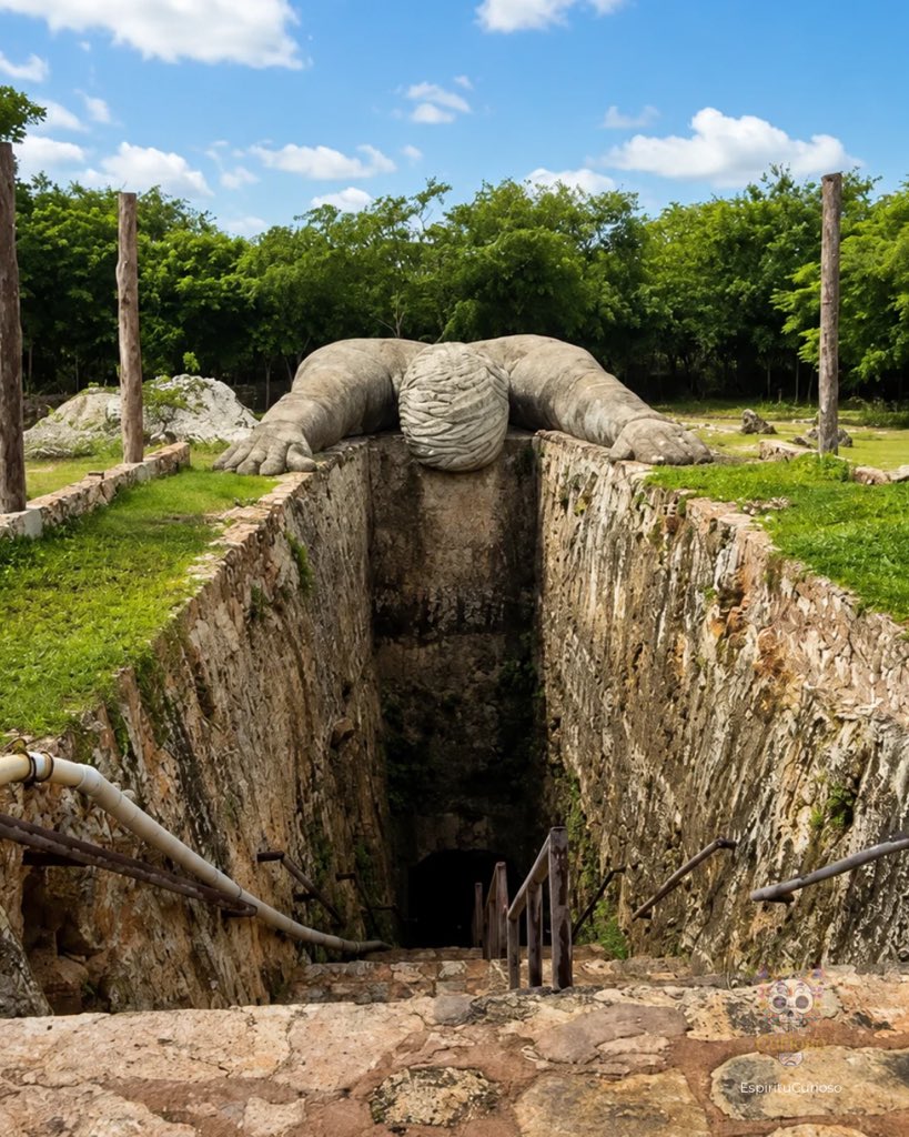 EspirituCurioso's tweet photo. ¿Descenderías por esta abertura en la tierra? 😰 Es la entrada al inframundo.

Así recibe a los visitantes el cenote Puksi’ikal, en la comunidad maya de Kanxoc, a unos minutos de Valladolid, Yucatán. La enorme grieta en la roca y la impresionante escultura colocada sobre la entrada hacen que el descenso se sienta completamente diferente a cualquier otro cenote. 

Pero lo más sorprendente está al bajar. Puksi’ikal es un cenote de tipo caverna, por lo que casi todo el recorrido transcurre bajo tierra. En su interior encontrarás un gran espejo de agua rodeado por una bóveda de roca, con estalactitas formadas durante miles de años y una pequeña abertura natural por donde se filtra la luz, creando un ambiente que cambia conforme avanza el día. 

Para los antiguos mayas, las cuevas y los cenotes eran lugares sagrados relacionados con el acceso a Xibalbá, el inframundo. Basta con ver esta entrada para entender por qué estas formaciones despertaban tanto respeto y fascinación. 

Si buscas un cenote diferente, donde la experiencia comienza mucho antes de tocar el agua, este lugar demuestra que Yucatán todavía guarda rincones capaces de sorprender incluso a quienes ya han visitado muchos cenotes.

Espíritu Curioso, ¿qué te parece este cenote? ¿Te animarías a bajar por esta impresionante entrada o preferirías quedarte admirándola desde arriba? 🙂