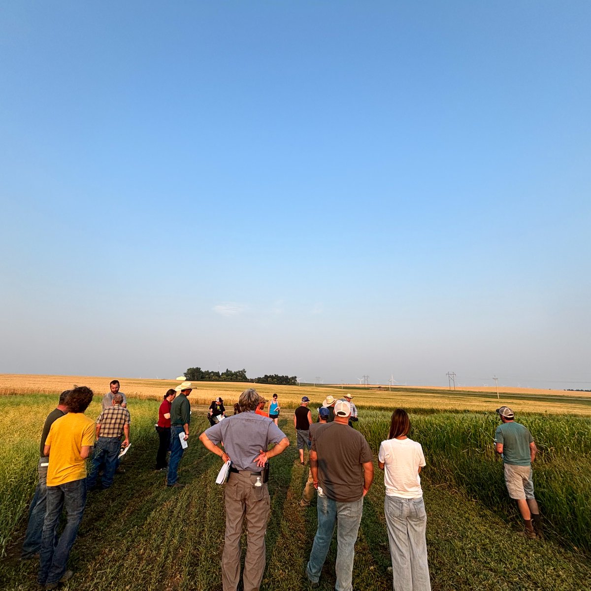 LoganCountyExt's tweet photo. It was so nice to see everyone at this year's Tri-County Plot Tour! Thanks for bearing the heat and joining us for another great event.

A special shout-out to our caterer @cindyslunchbox for spoiling us with her good eats.

#wisheknd #plottour https://t.co/L9n3OHwE9I