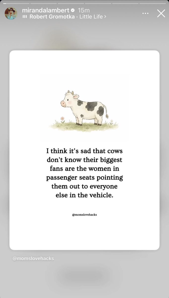 allkindsofran's tweet photo. one of my favorite past times is clicking through instagram stories and seeing that @mirandalambert has just decided to repost like six random memes in the span of twelve minutes 😭 i love her https://t.co/hGpMsQUzBa