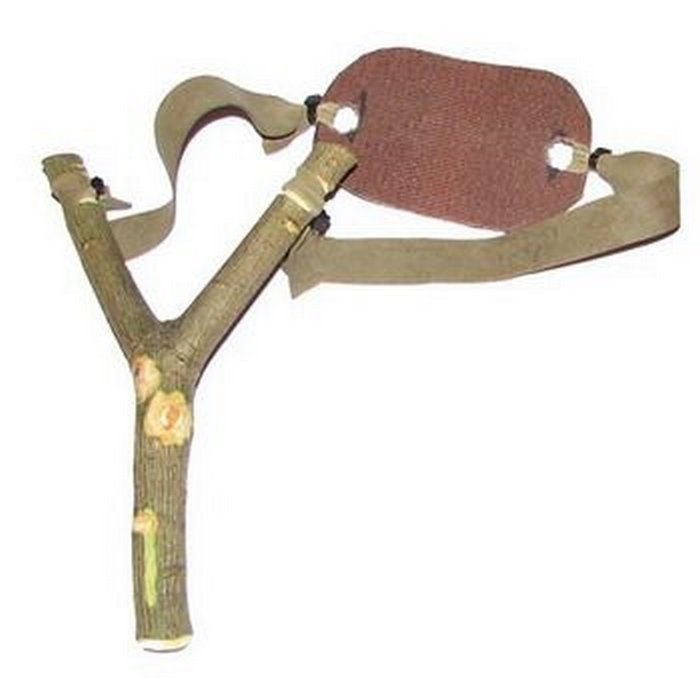 LandLover56's tweet photo. I bet 99% of people don't know what this is. https://t.co/1DWrnZxhm0