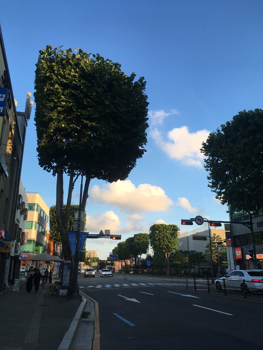 E7mx8's tweet photo. 행궁동 데이트 코스 마스터 https://t.co/YTq9cYTmsi