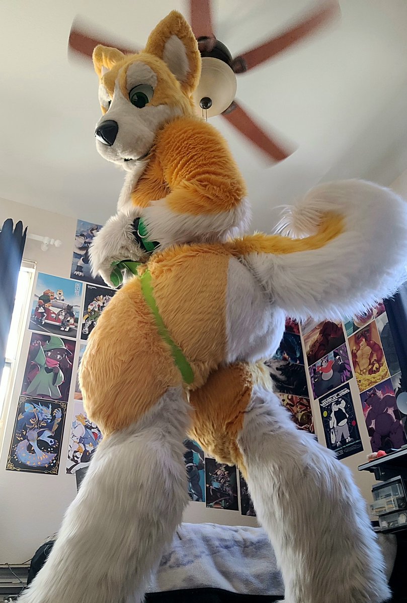 kyoThehusky's tweet photo. Feelin thicc

🍑humpday🍑 https://t.co/UsBIS1RJ9C