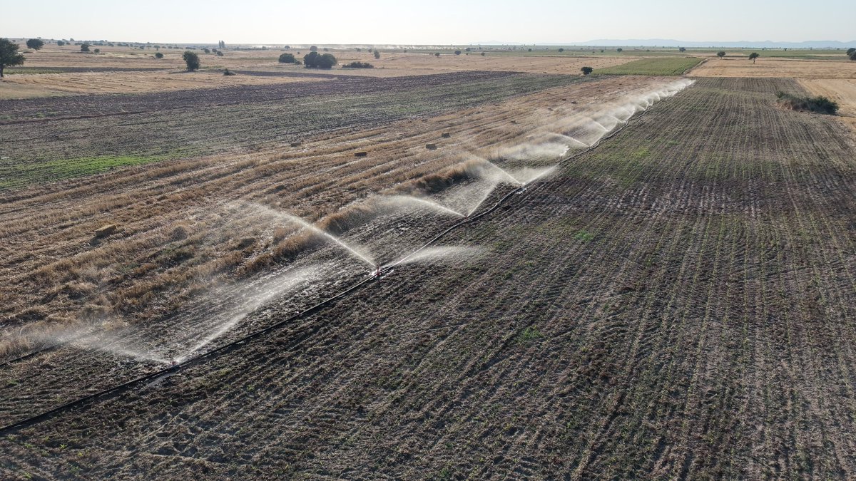 edirne_valiligi's tweet photo. Üretim Varsa Hayat Var 🌱

💧 2026 yılı yatırım programımız kapsamında 91 adet tarımsal sulama, içme suyu ve kanalizasyon projesi İl Özel İdaremiz tarafından hayata geçiriliyor.

Valimiz Yunus Sezer, Enez ilçemize bağlı Yenice ve Çavuşköy’de İl Özel İdaremiz tarafından yürütülen tarımsal sulama çalışmalarını yerinde inceleyerek yetkililerden bilgi aldı.

📈 Enez ilçemize bağlı Çavuşköy, Büyükevren, Çeribaşı, Hasköy, Yenice, Küçükevren ve Gülçavuş köylerimizde yürütülen projeyle 10 bin 500 dekar alan suyla buluşacak.

🌾 Bu sistem sayesinde üreticilerimiz ikinci ürün ekimi yapma imkânına kavuşacak. 🚜

Emek veren tüm üreticilerimize hayırlı ve bereketli olsun.

#Edirne #TarımdaGüçlüYarınlar #ÜretimVarsaHayatVar #KapalıSistemSulama

@ibrahimyumakli 
@TCTarim