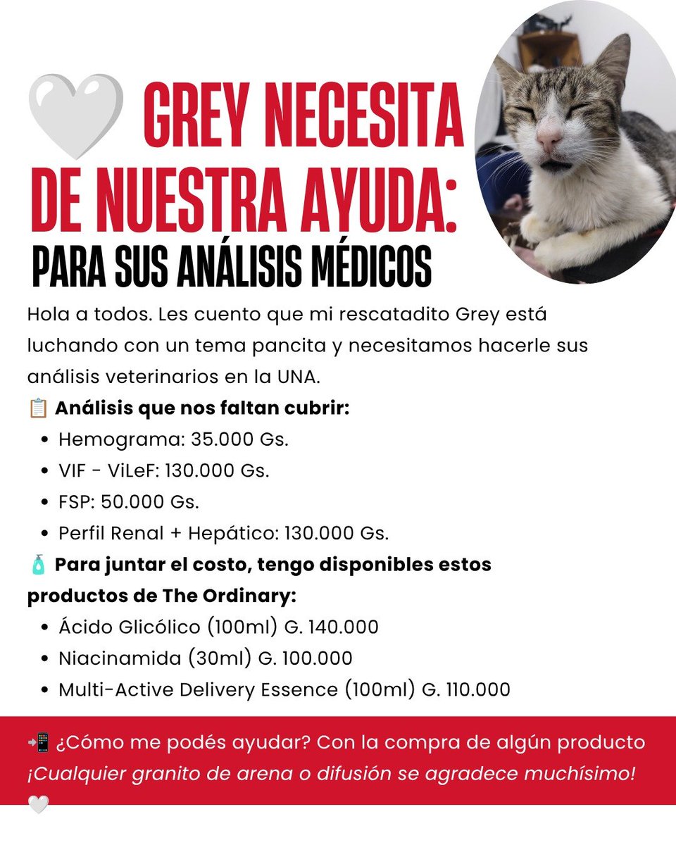 ladyvanessa91's tweet photo. Grey, mi rescatadito, está enfermo y mañana necesita sus análisis. 

En la imagen les dejo los detalles de lo que nos falta cubrir y los productos de The Ordinary que tengo disponibles.

Si pueden darme una manito con difusión o adquiriendo algo, les agradezco de corazón 🤍 https://t.co/pZ2M36YiJX