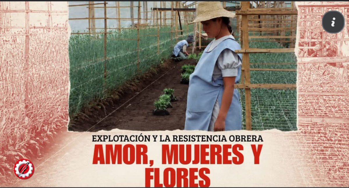 ElInformadorO's tweet photo. "El documental va más allá de su día a día y de los impactos en su salud. Documenta también una parte de su lucha. Las trabajadoras, al reconocerse unas a otras como parte de una misma clase, comenzaron a organizarse y a exigir sus derechos...... 👇
https://t.co/Jh441bgCK6 https://t.co/yDcb5wXzi6