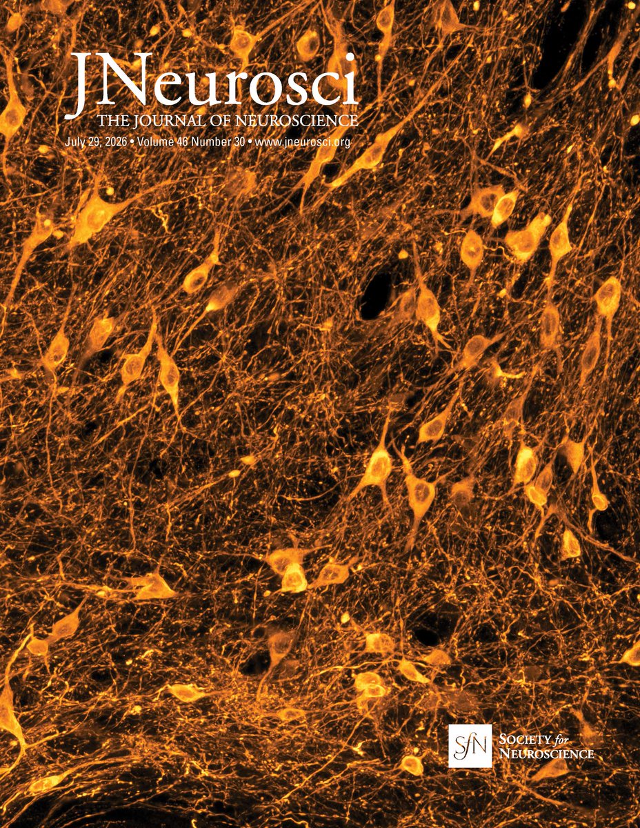 SfNJournals's tweet photo. This Week in The Journal #JNeurosci | How the SCN Maintains the Estrous Cycle; How Humans Control Eye Movements While Multitasking
https://t.co/65VyCItC3s https://t.co/qhjW0TNNWu