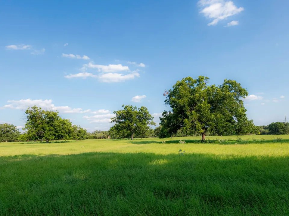 landreport's tweet photo. Shipley River Ranch
Texas | 466 Acres | $9,998,888

Nestled within the picturesque ranchlands of Jonesboro, Texas, Shipley River Ranch is a distinguished 466-acre estate, creating a harmonious blend of natural beauty, rich ranching heritage.

Learn More: https://t.co/c6fy2Iceud https://t.co/DyzRWl3ah6