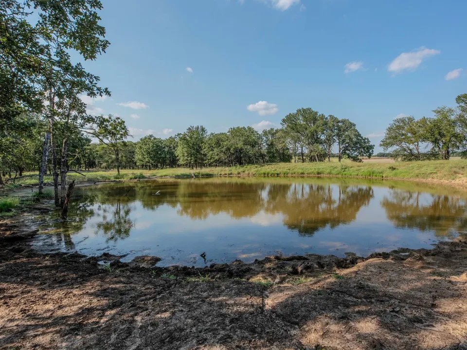 landreport's tweet photo. Shipley River Ranch
Texas | 466 Acres | $9,998,888

Nestled within the picturesque ranchlands of Jonesboro, Texas, Shipley River Ranch is a distinguished 466-acre estate, creating a harmonious blend of natural beauty, rich ranching heritage.

Learn More: https://t.co/c6fy2Iceud https://t.co/DyzRWl3ah6