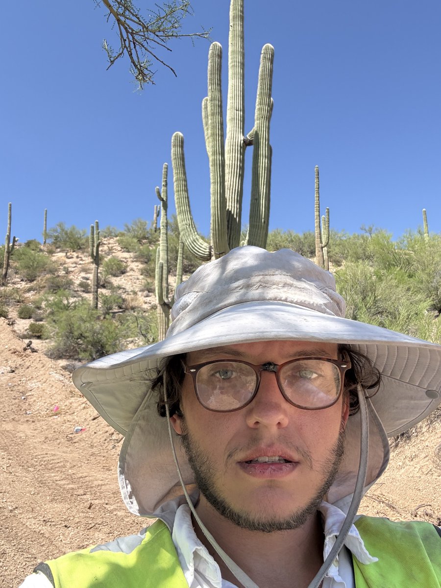zane3k's tweet photo. Big cactus https://t.co/hgW2AcKpcB