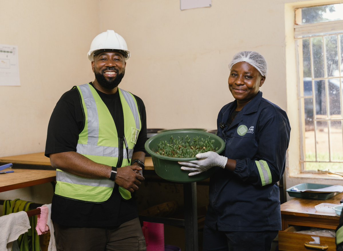 JitoKayumba's tweet photo. Zambia's Soya Bean Revolution! 🌱🇿🇲

​Imagine a Zambia where our fields are gold not just with copper, but with agriculture! The economic opportunity of producing 3 million metric tons of soya beans is monumental, and the time to seize it has come. Here's why this is a game-changer for our nation:

​📈 Massive Export Potential

Starting May 2026, China implemented a ZERO-TARIFF policy on agricultural imports from 53 African nations, including Zambia! This means unprecedented, duty-free access to the world’s second-largest economy for our agricultural products. We plan to export 2 million metric tons to China under this agreement that will generate massive injection of foreign exchange. This policy eliminates previous tariffs that could be up to 25%, making our exports instantly more competitive!  

🏭 Value Addition & Industrialisation

The remaining 1 million metric tons offer incredible potential for local value addition. Processing soya beans into cooking oil, soya cake for livestock feed, and other by-products creates a robust local industry. Our processing sector is already relatively competitive in the region, and expanding this means we keep the wealth and the processing margins right here at home.  

​💼 Unlocking Job Creation

Scaling to 3 million tons isn't just about the crops; it's about the people. This expansion will create tens of thousands of jobs across the entire value chain from smallholder farmers and agronomists to truck drivers, factory workers in extraction plants, and logistics personnel managing the exports to China.

​💰 Boosting Tax Revenue & Economy

The ripple effect of this agricultural boom will be felt in the national treasury. Increased corporate taxes from processing companies, income tax from newly created jobs, and export-related revenues will provide the government with the much-needed capital to invest in infrastructure, healthcare, and education.

​We have the land, the favourable climate, and now, a guaranteed, duty-free market in China! 

​The agticultural revolution is on course and our future is undoubtedly bright. 

Let's get planting! 🌱🚜
