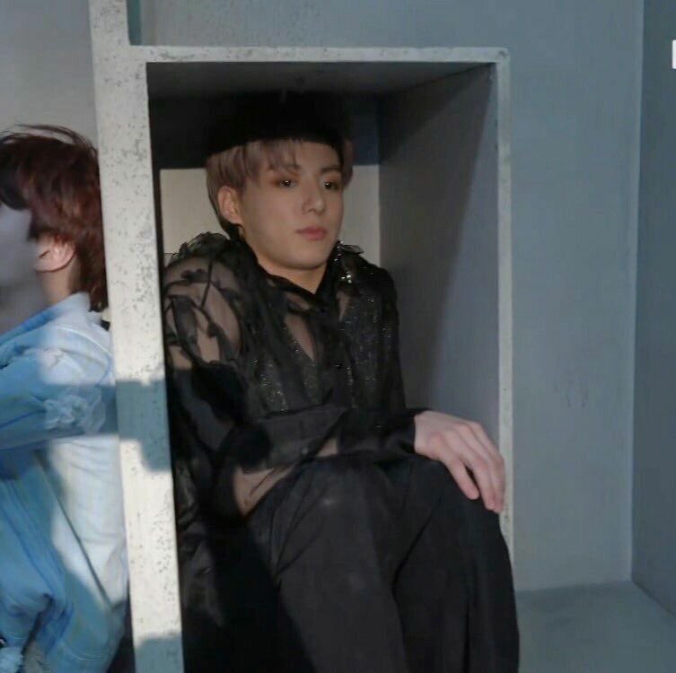 koogifs's tweet photo. if it fits he sits https://t.co/qJXiEQSFhC