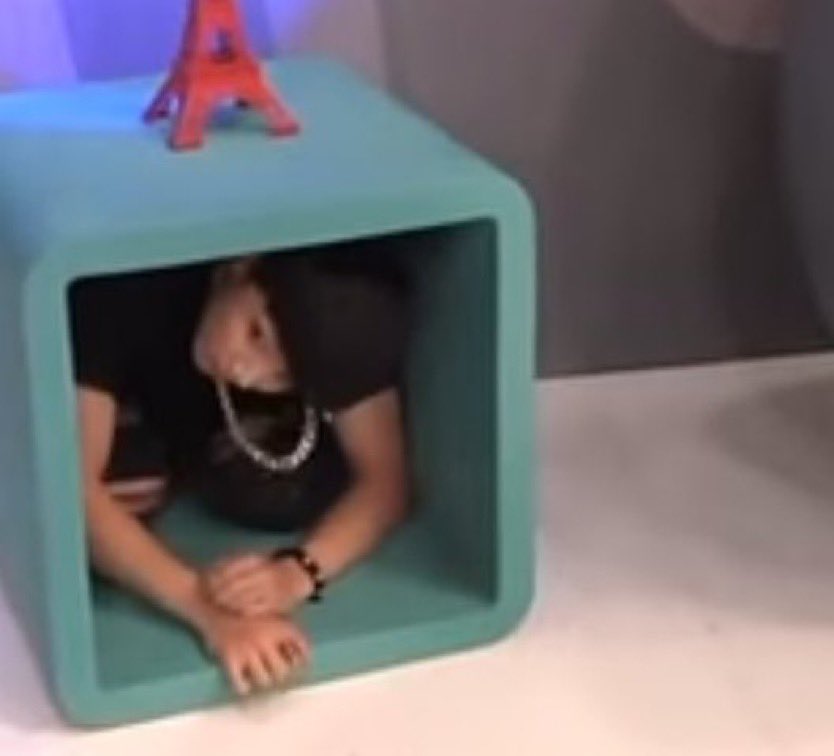 koogifs's tweet photo. if it fits he sits https://t.co/qJXiEQSFhC