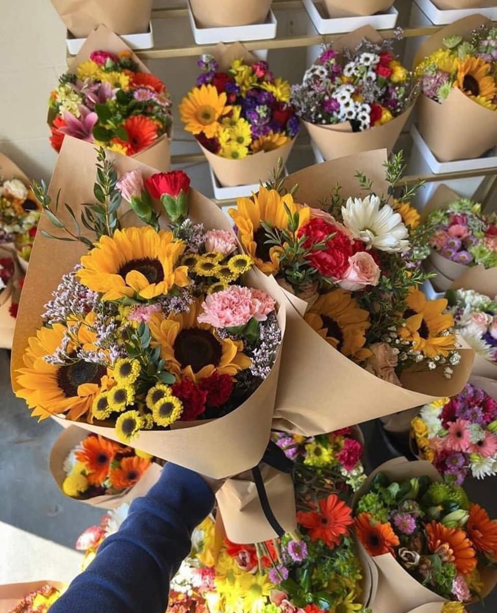floraldiaryyy's tweet photo. https://t.co/10i5AZLm3U