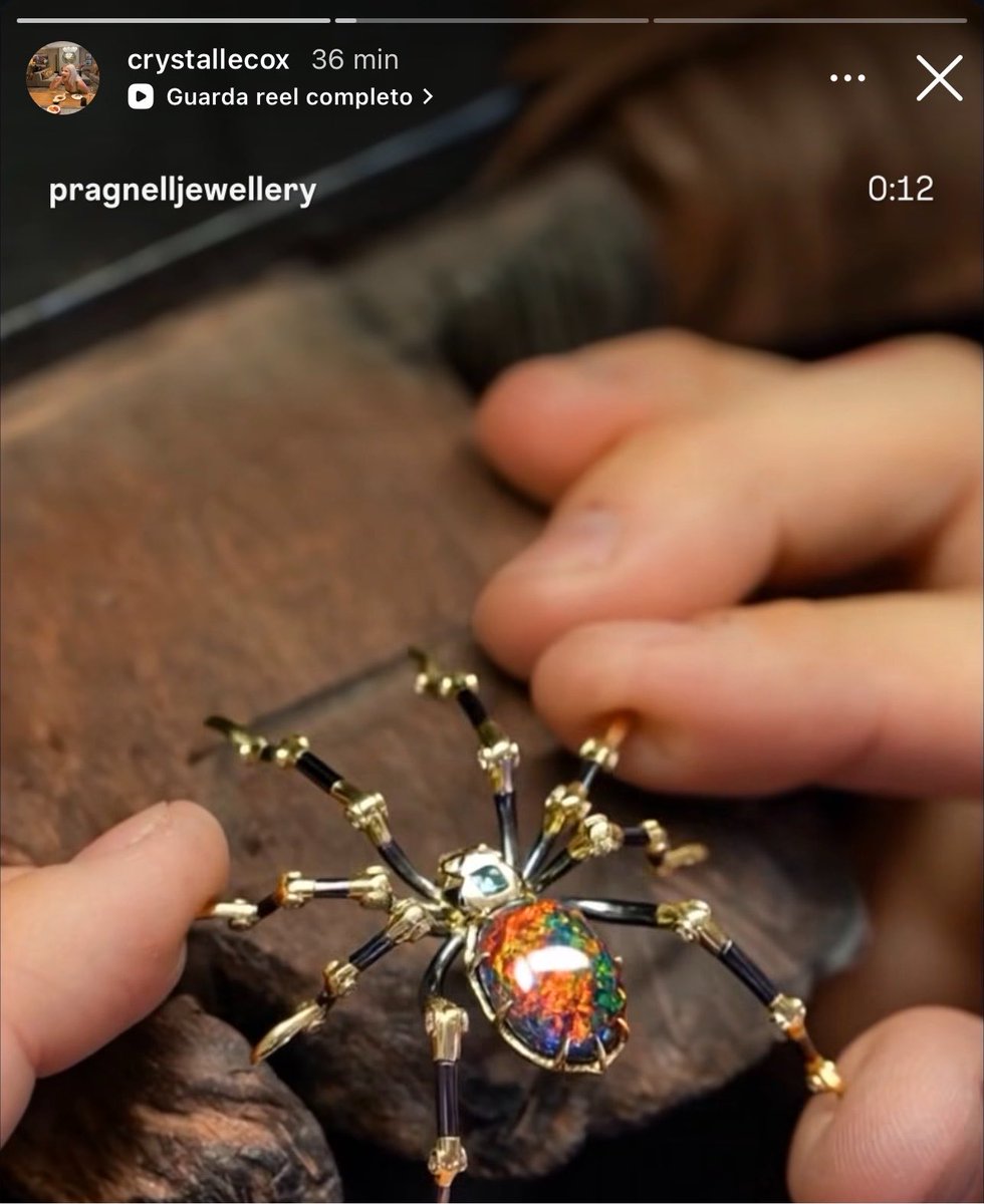 dayashlland's tweet photo. them matching with their spider brooches <3 https://t.co/zAGnjB2FMW