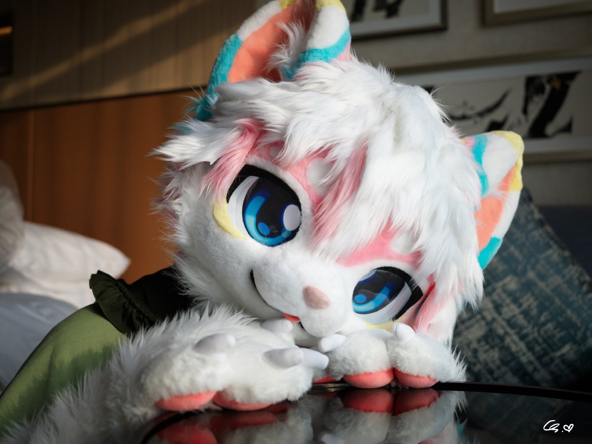 YANT0104's tweet photo. #Fursuit 
就這樣盯著你👀
～～～～～～～～
📷：澄笙
#furry #福瑞 #Fursuiteveryday #fursuitevery https://t.co/0McwF7uich