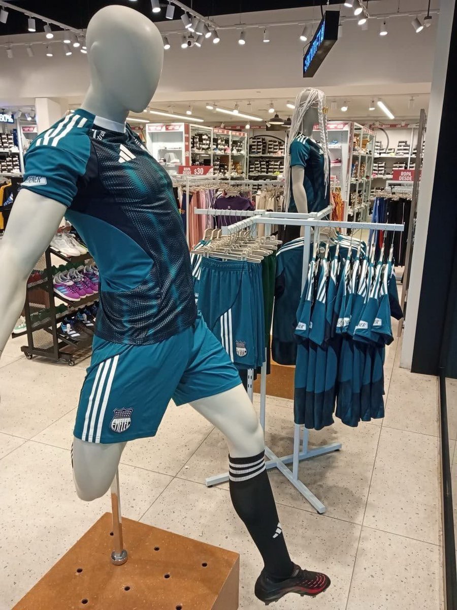 maggucha's tweet photo. No le tenía fe xq sinceramente, no me gusta la ropa de color verde, pero debo admitir que si está chévere la nueva camiseta, y me gusta mucho el detalle de las 14 estrellas en la parte de atrás. 

$100 la de hombre
$85 la de mujer 
$75 niños 

Socios Emelec con 15% de dsct https://t.co/JnfFTOsxP2