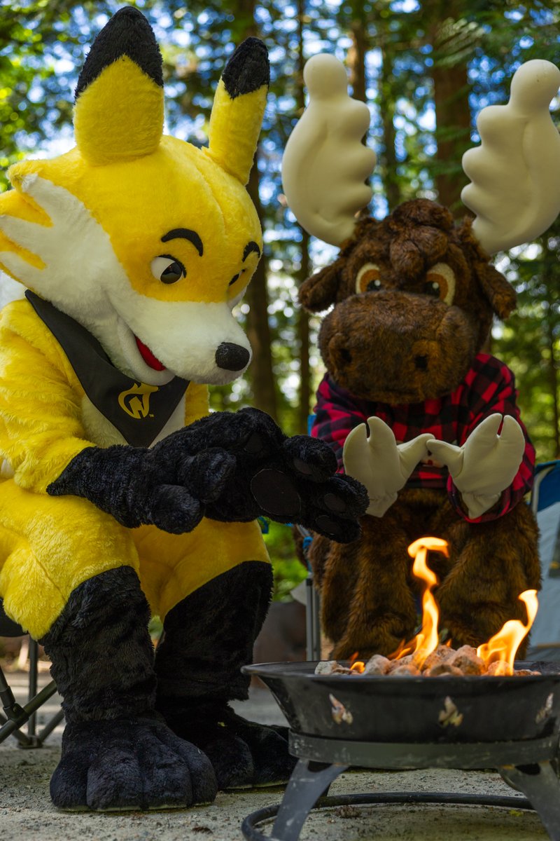 BCFireSmart's tweet photo. Heading out for the August long weekend? Check https://t.co/eKDq7lO7UI or the app, and with local or Indigenous governments, for campfire bans first. If allowed, use a fire ring, keep it small, have water ready, and never leave it unattended. https://t.co/zzCrvtEaQD
