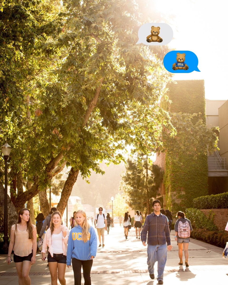 UCLA's tweet photo. The emojis we all deserve. 🐻💙✨ https://t.co/3UE62qxOnr
