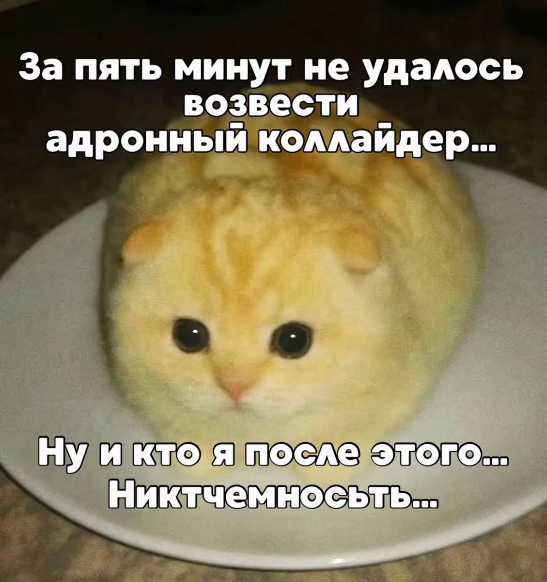 no_eplyy's tweet photo. https://t.co/SAo9ww7gKq