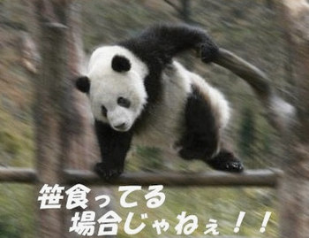 Jasonboudreaure's tweet photo. とーほく新幹線がいっぱい流れてくる…仙台イベントいいな〜夏休み帰省中だったらワンチャン行けたんだろうが… https://t.co/Hm4fCfF19I