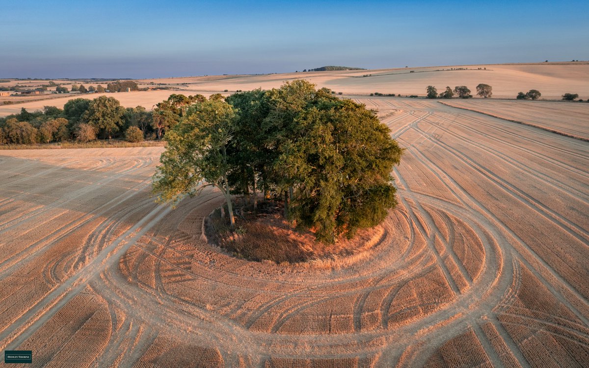 thorneh's tweet photo. A bowl barrow in an alien landscape. Evening photoshoot in South Oxfordshire with @Anna_Dillon https://t.co/9gF5toXSxq