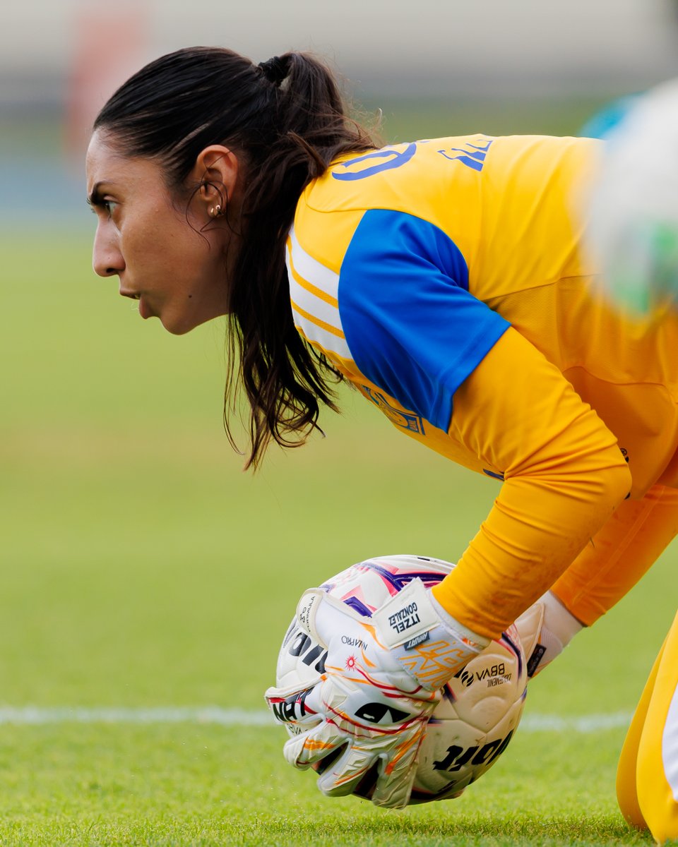 TigresFemenil's tweet photo. 🧠⚽️ Nos enfocamos de lleno en nuestro debut del Apertura 2026 ante Puebla.

¡Dale, Amazonas! 💪🏼🐯 https://t.co/XRlNzkx8qO