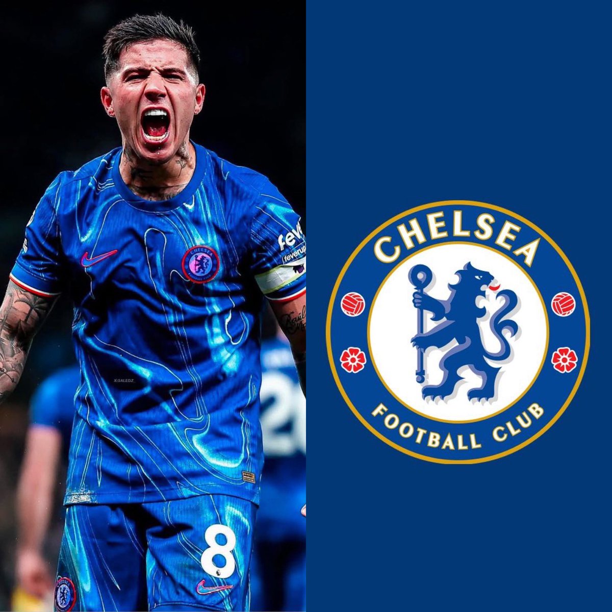 MODOSCALONET4's tweet photo. 🚨🇦🇷 SE TENSA LA RELACIÓN ENTRE ENZO FERNÁNDEZ Y EL CHELSEA

El Chelsea rechazó la solicitud de mejora salarial de Enzo Fernández y, según varios reportes, ya le puso precio ante una posible salida. https://t.co/mcqOgLkZUH