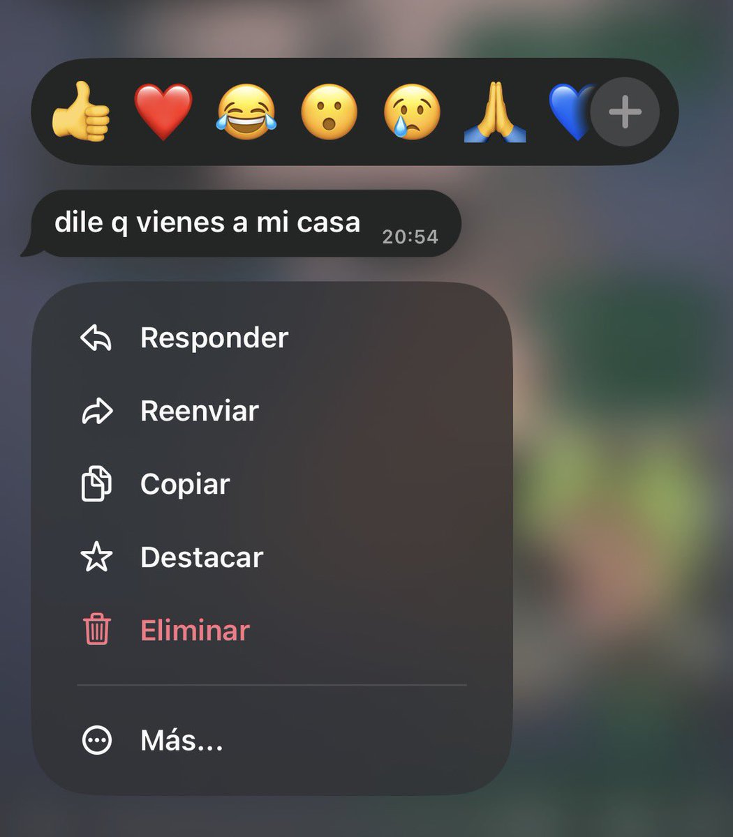 _userkitty's tweet photo. la mejor tapadera 🫣 https://t.co/PM7zg886us