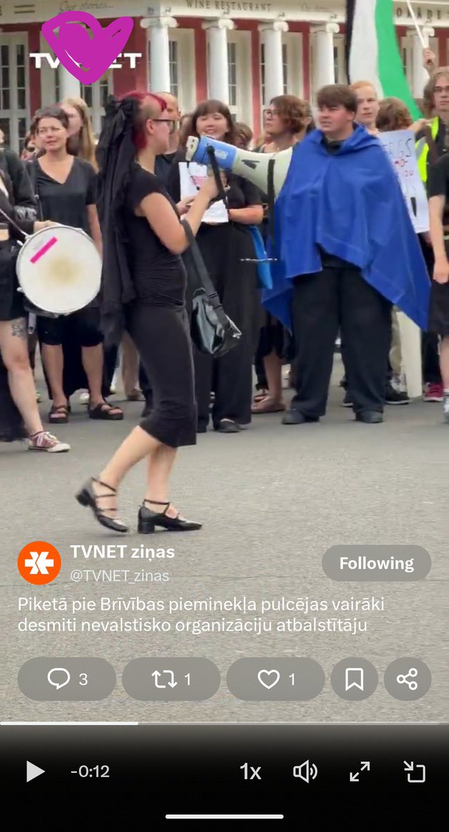 787Tsr's tweet photo. @katrinailjinska @AndrisKulbergs Cilvēku kontrabandiste arī iespējams starp protestētājiem. :) https://t.co/3deJOANpmO