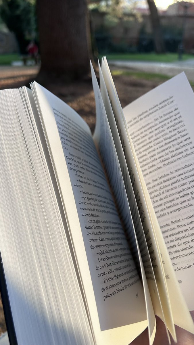 isabel 📖 bookworm era tweet media