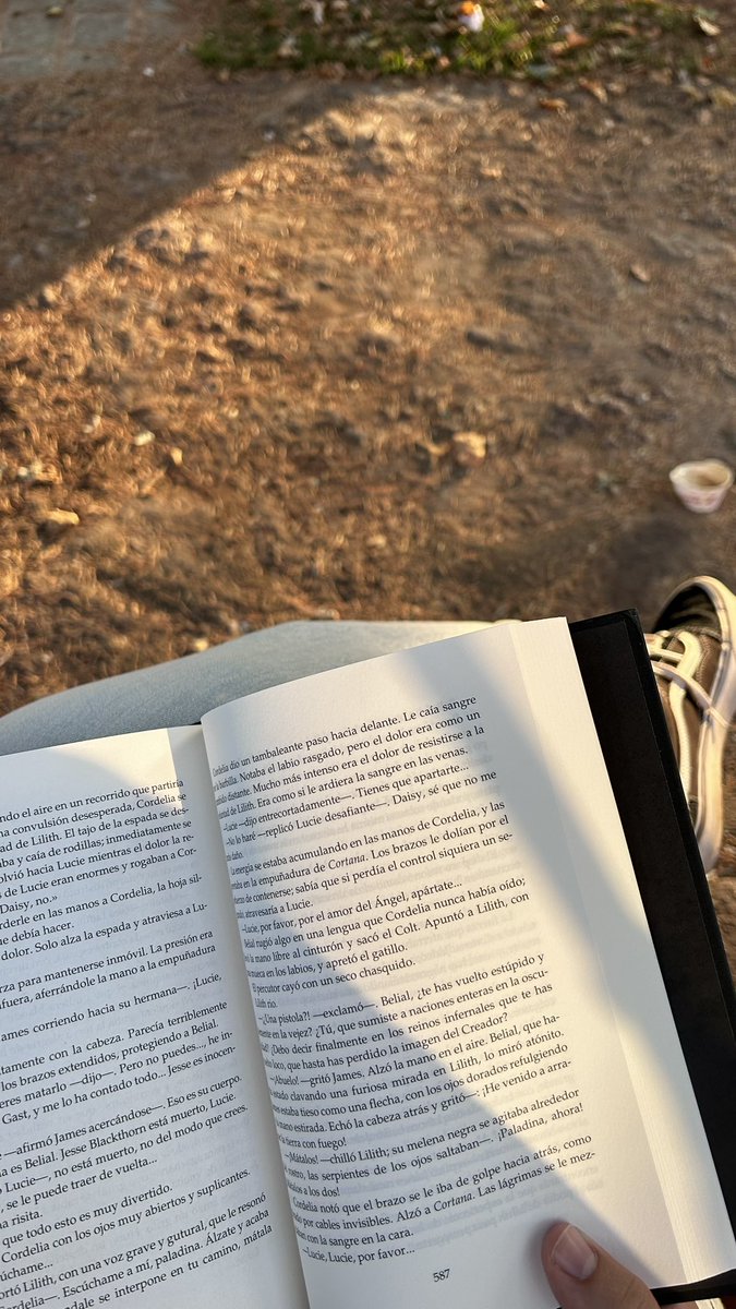 isabel 📖 bookworm era tweet media