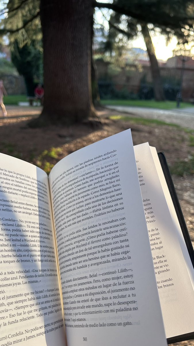 isabel 📖 bookworm era tweet media