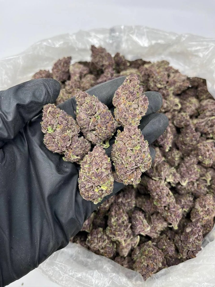 ghostarms85123's tweet photo. Who's tryna find a plug ⛽️⛽️🍁 Georgia420 #weedplug

🔗👇
https://t.co/4v5nPKbMm3

🔥 Loud weed ⛽ carts or Dank shrooms 🍄 in Greensboro or Durham. Hit the plug fast 🌿 #Weed #Kush #Shrooms #Carts #NCWeed #420Friendly Louisianaplug Lafayette #weedman Hawkinsville https://t.co/fxARcReZIH