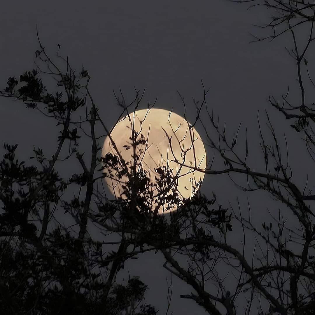 astropics's tweet photo. Full Moon 🌕 https://t.co/2GqxtKqBZP
