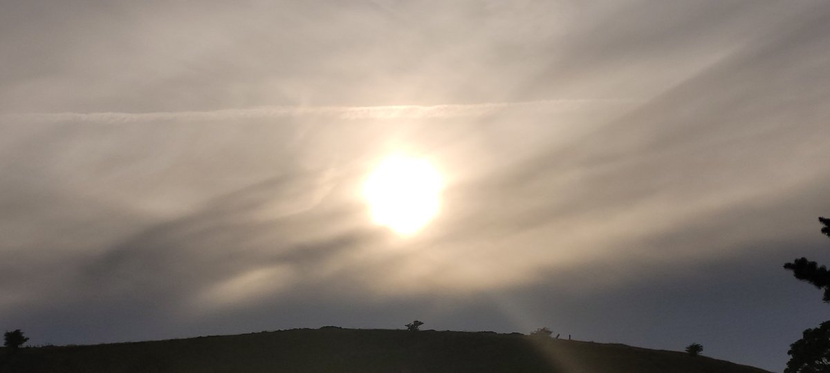 ANGRYNIC2's tweet photo. Nice 'sunset' for midsummer... you fucking psychopathic subhumans. Every single scum pilot needs to pay for their crimes. Taking pay to spray. Budget airlines and the UN alliance committing #crimesagainsthumanity  #pilotlife #skybastards #lookup https://t.co/bAAColkUUc