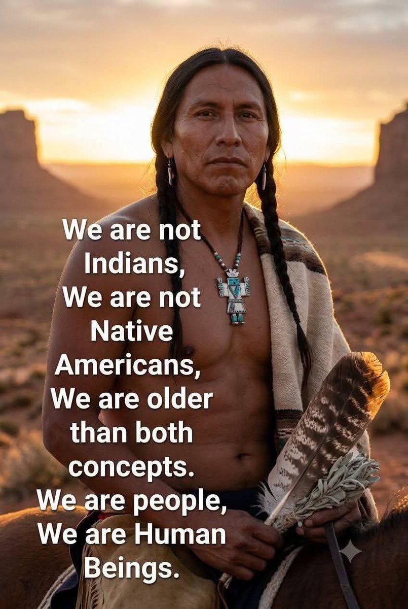 Native American All Tribes tweet media