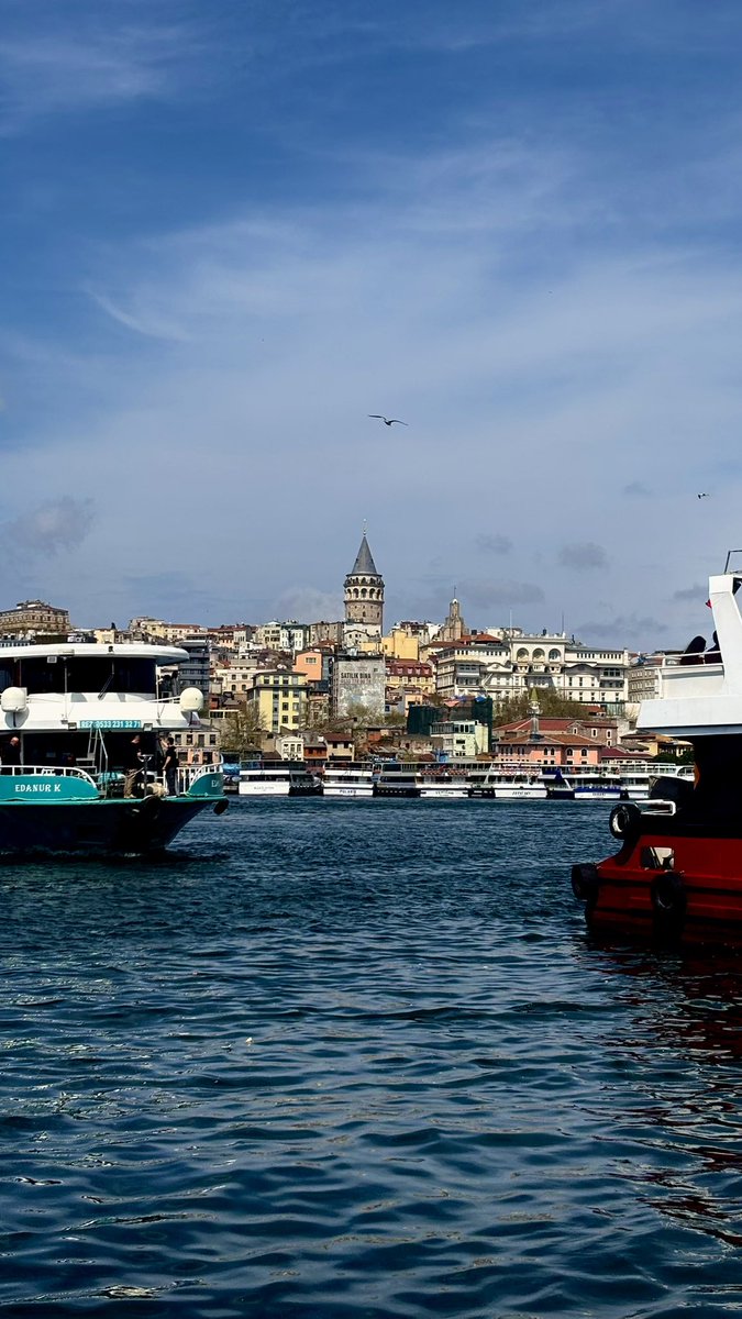 tersaycicegi's tweet photo. yaşamayı ve yaşamı fotoğraflamayı seviyorum https://t.co/wAljymFpHO