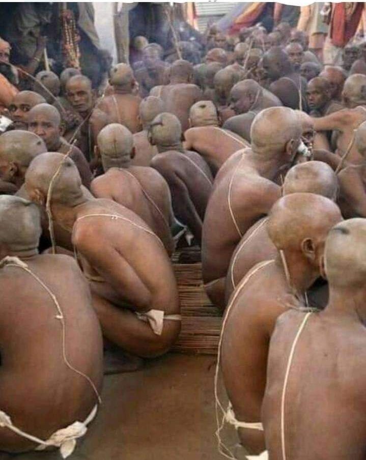 asuravanmam's tweet photo. @Antireserv1fgm @SparrowNik @RHAreform 🤣 https://t.co/mIfm8lvIG3