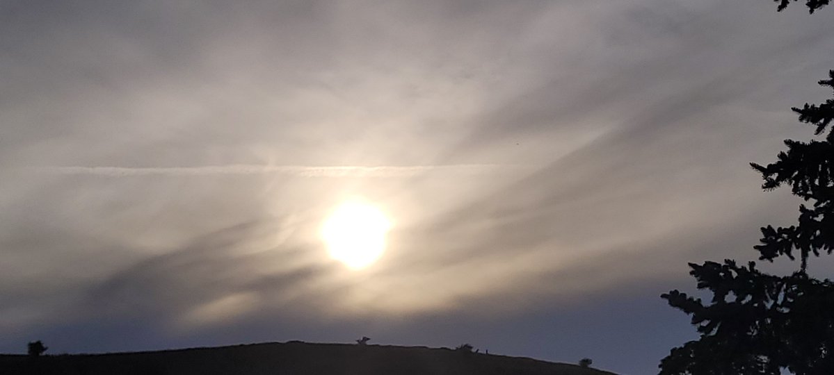 ANGRYNIC2's tweet photo. Nice 'sunset' for midsummer... you fucking psychopathic subhumans. Every single scum pilot needs to pay for their crimes. Taking pay to spray. Budget airlines and the UN alliance committing #crimesagainsthumanity  #pilotlife #skybastards #lookup https://t.co/bAAColkUUc
