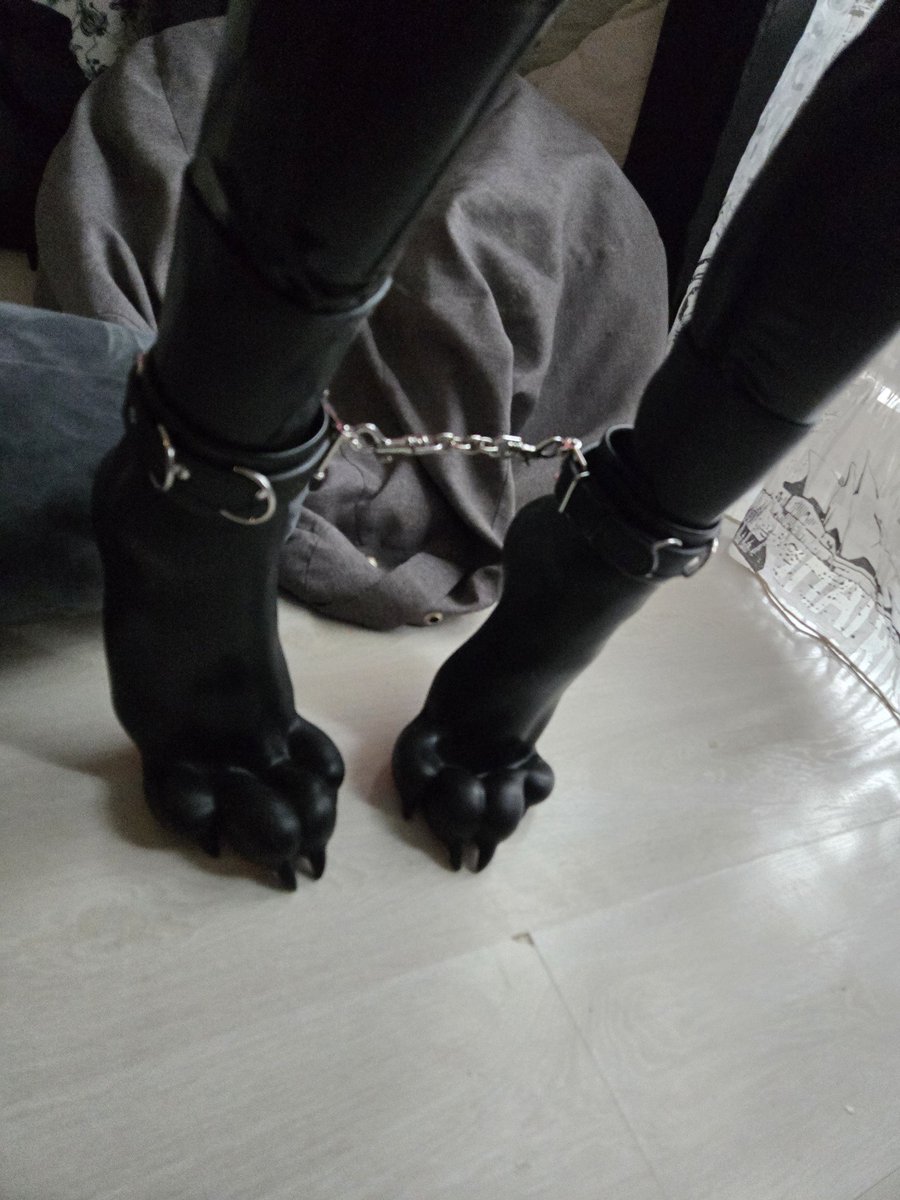 SanyPup's tweet photo. PET PAWS https://t.co/PuP9ZW2vZx