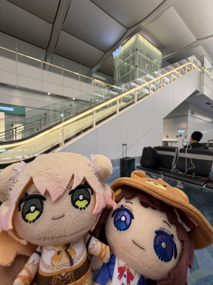 jo8246hn's tweet photo. もうすぐ帰国します。今回のソロライブ、本当に本当に最高だった…！この景色は一生忘れない。ねねちも間違いなく最強のアイドルだよ！

#ねね超開花 https://t.co/WawuCZzBdS