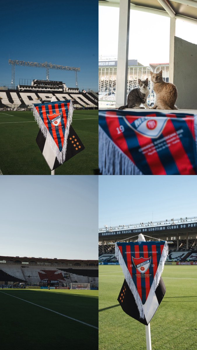 DIM_Oficial's tweet photo. [🏟️❤️💙] Estadio São Januário 📍
Aquí, hoy, Medallo. ✊ https://t.co/dliVaYnrIC